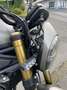 Benelli Leoncino 800 - Aktionspreis Gris - thumbnail 9