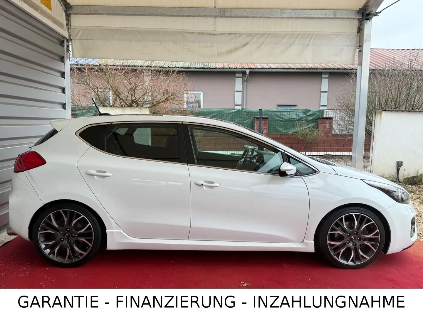 Kia Ceed / cee'd Ceed GT/Scheckheft/Navi/Panoramadach Blanc - 2