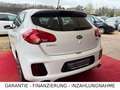 Kia Ceed / cee'd Ceed GT/Scheckheft/Navi/Panoramadach Blanc - thumbnail 5