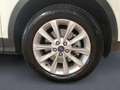 Ford Kuga 2.0 TDCI 150 HP 4WD AUTOMATICA Weiß - thumbnail 6