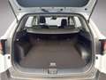 Kia Sportage TITAN 1.6 TGDI MT6 0 160 ISG Weiß - thumbnail 20