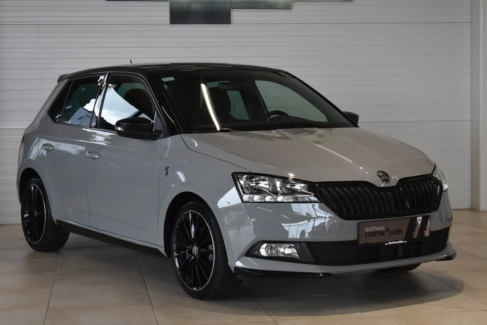 Skoda Fabia Monte Carlo Grau - 1