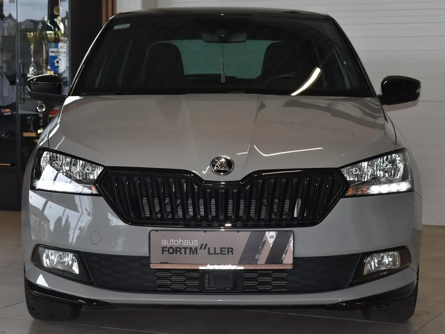 Skoda Fabia Monte Carlo Grau - 2