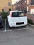 Fiat Grande Punto 1.3 D multijet model course Wit - thumbnail 3