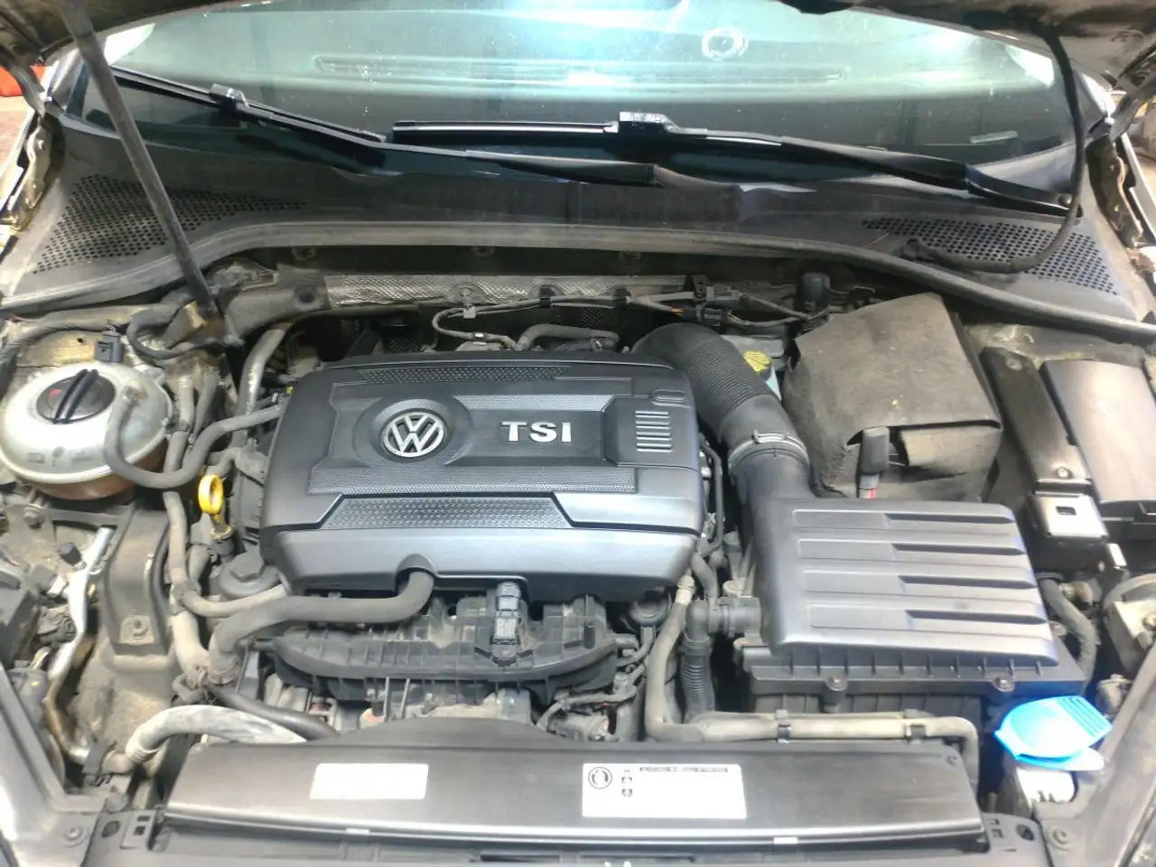 Volkswagen Golf fotografie Volkswagen Golf