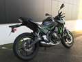 Kawasaki Groen - thumbnail 2