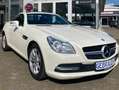 Mercedes-Benz SLK SLK 200 BlueEfficiency*Airscarf*Navi*PDC* Weiß - thumbnail 1