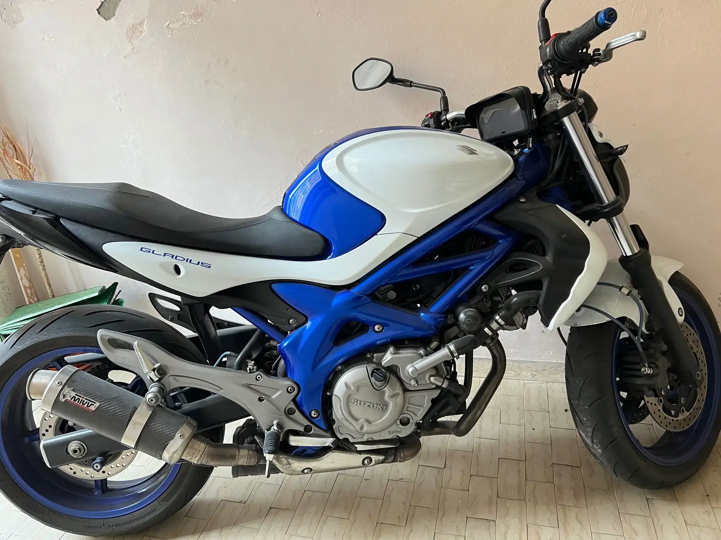 Suzuki Gladius 650 Синій - 2