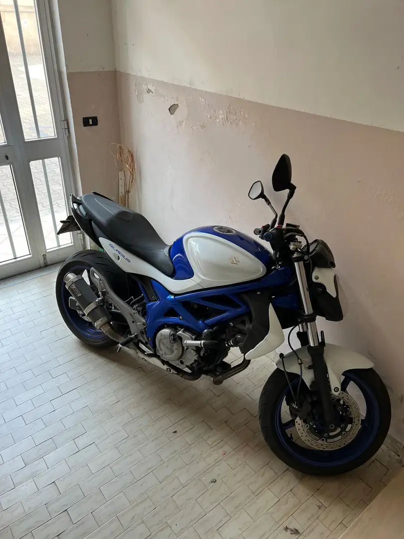 Suzuki Gladius 650 Синій - 1