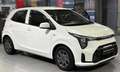 Kia Picanto 1.0 "Vision" *Navi*RFK*SHZ*LHZ Weiß - thumbnail 1