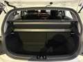 Kia Picanto 1.0 "Vision" *Navi*RFK*SHZ*LHZ Weiß - thumbnail 12