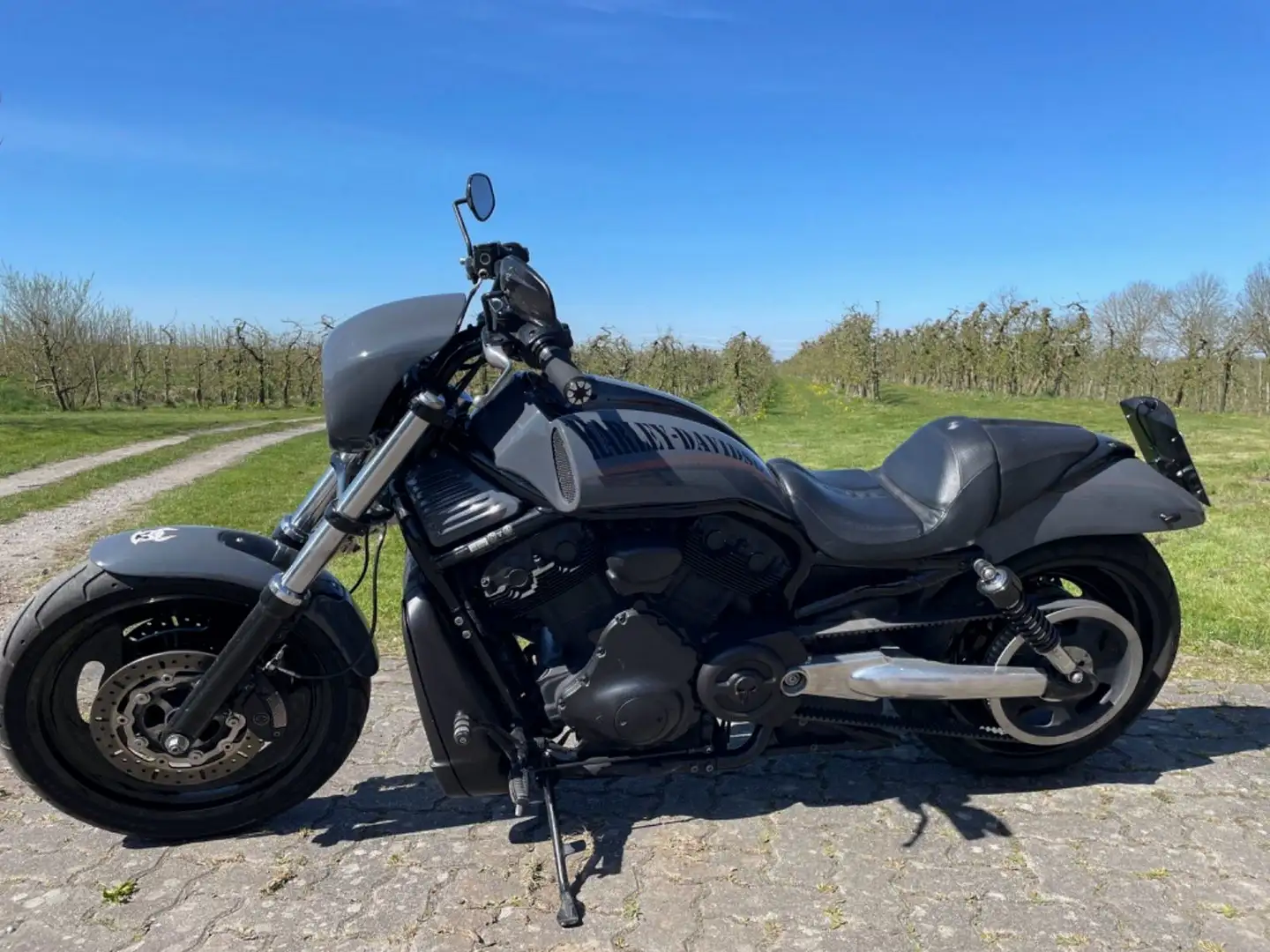 Harley-Davidson Night Rod VRSCD Gris - 2