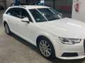 Audi A4 40 TDI S-tronic/XENON/SITZ-HZ/PDC/NAVI/ACC Weiß - thumbnail 5
