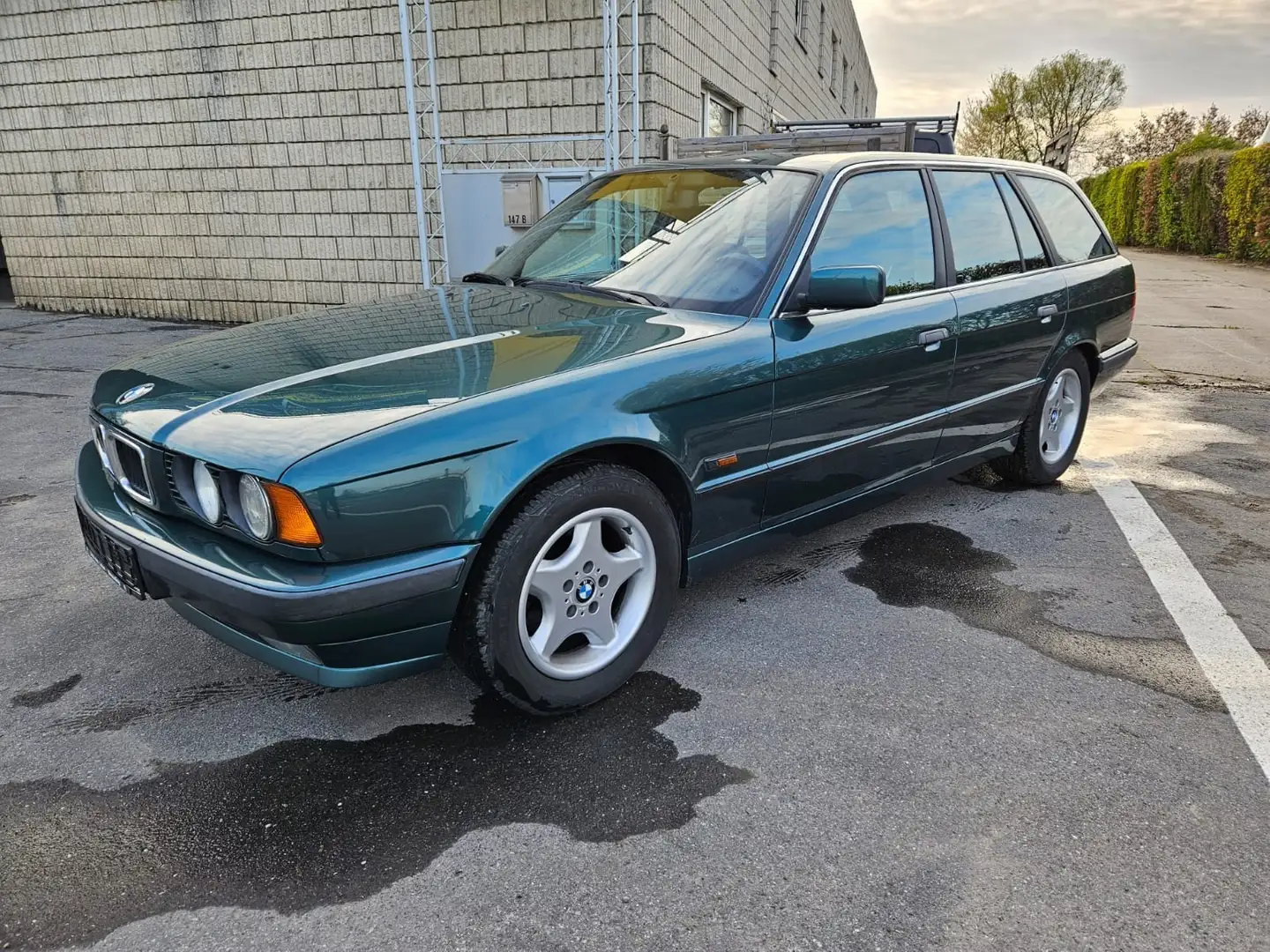 BMW 525 tds Groen - 2