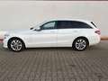 Mercedes-Benz C 220 T d Head-Up, LED, 360°Kamera, ACC Blanc - thumbnail 5