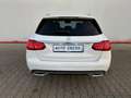 Mercedes-Benz C 220 T d Head-Up, LED, 360°Kamera, ACC Blanc - thumbnail 9