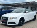 Audi A4 Cabriolet 2.0 TFSI*HU NEU*INSPEKTION NEU* Weiß - thumbnail 7