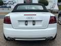 Audi A4 Cabriolet 2.0 TFSI*HU NEU*INSPEKTION NEU* Weiß - thumbnail 5