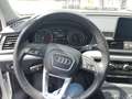 Audi Q5 II 2017 Diesel 40 2.0 tdi Business Design quattro Bianco - thumbnail 12