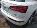 Audi Q5 II 2017 Diesel 40 2.0 tdi Business Design quattro Bianco - thumbnail 7