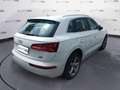 Audi Q5 II 2017 Diesel 40 2.0 tdi Business Design quattro Bianco - thumbnail 3