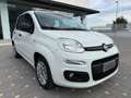 Fiat Panda Panda 1.3 MJT 95 CV S&S Easy 2017 Bianco - thumbnail 3