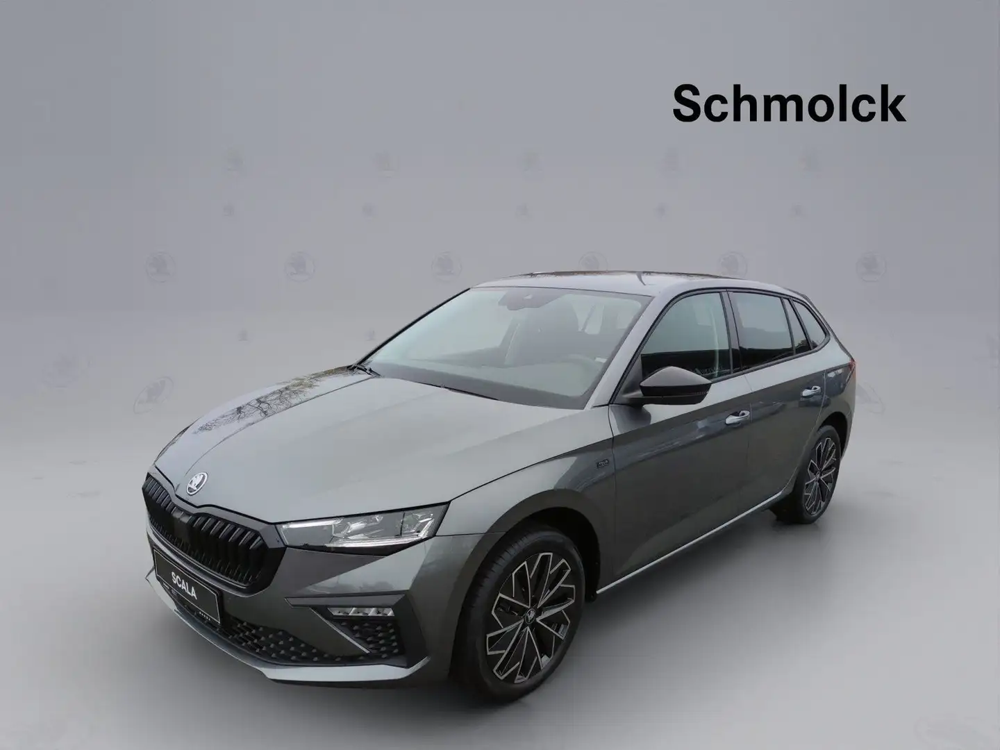 Skoda Scala Tour 1.5 TSI DSG 150PS ACC LED NAVI AHK Grau - 1