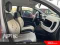 Fiat Panda Panda 0.9 t.air t. natural power Easy 80cv Silber - thumbnail 16
