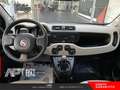 Fiat Panda Panda 0.9 t.air t. natural power Easy 80cv Argent - thumbnail 10