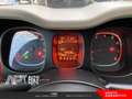 Fiat Panda Panda 0.9 t.air t. natural power Easy 80cv Argent - thumbnail 7