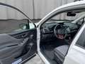 Subaru Forester 2,0i e-Boxer Sport Edition AWD Aut Weiß - thumbnail 19
