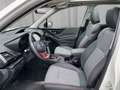 Subaru Forester 2,0i e-Boxer Sport Edition AWD Aut Weiß - thumbnail 9