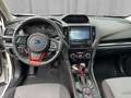 Subaru Forester 2,0i e-Boxer Sport Edition AWD Aut Weiß - thumbnail 11