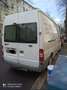 Ford Transit Bus White - thumbnail 2