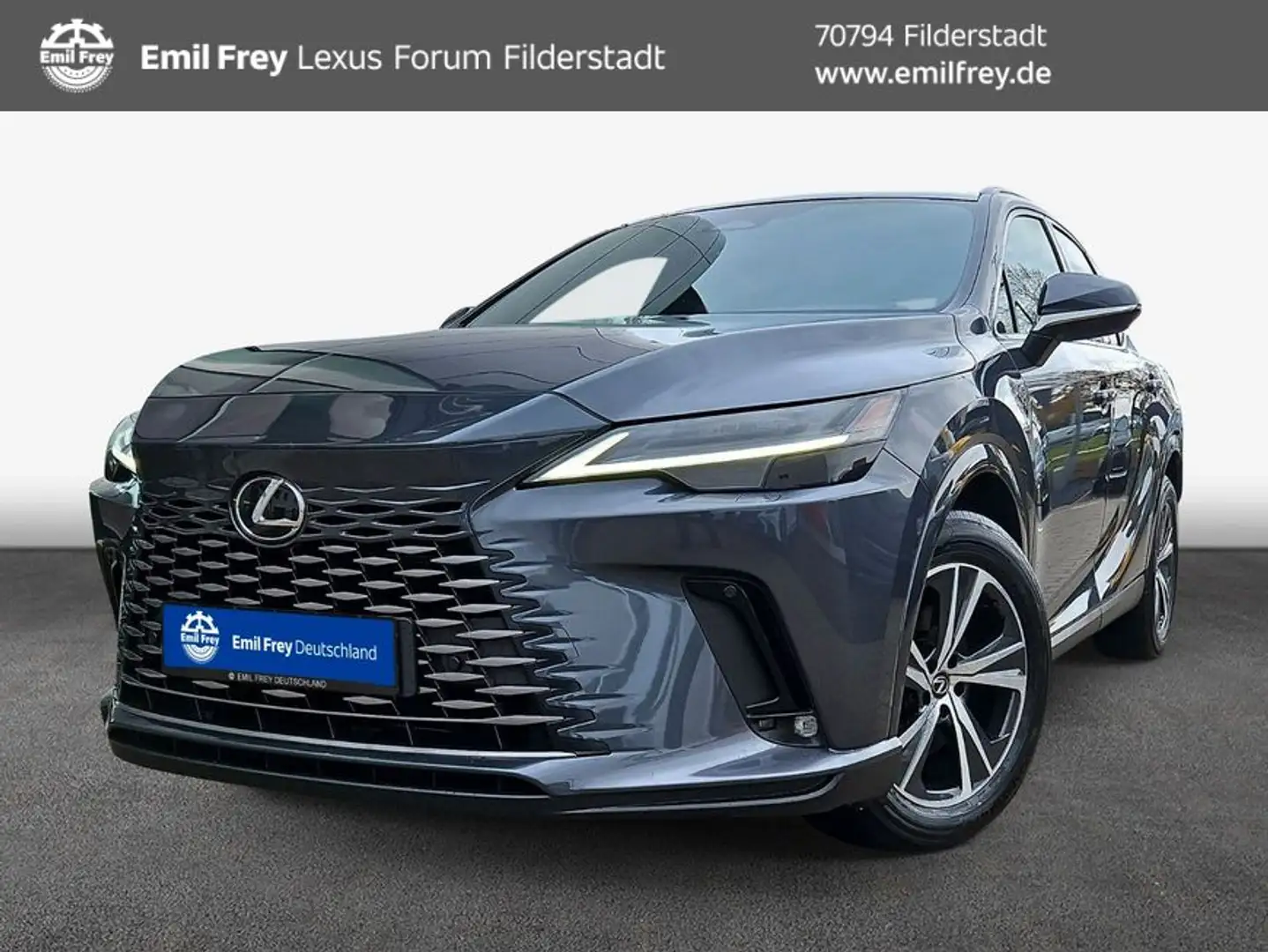 Lexus RX350h E-Four Business Line Grigio - 1