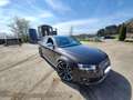 Audi A4 allroad 3,0 TDI quattro DPF S-tronic Braun - thumbnail 4