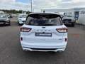 Ford Kuga 2.5 Duratec 190ch FHEV ST-Line X BVA i-AWD Blanc - thumbnail 6