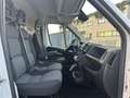 Fiat Ducato 28 2.3 MJT 120CV PC-TN Furgone *MOTORE NUOVO* Blanc - thumbnail 8