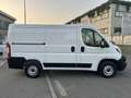 Fiat Ducato 28 2.3 MJT 120CV PC-TN Furgone *MOTORE NUOVO* Blanc - thumbnail 12