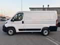Fiat Ducato 28 2.3 MJT 120CV PC-TN Furgone *MOTORE NUOVO* Blanc - thumbnail 11