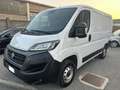 Fiat Ducato 28 2.3 MJT 120CV PC-TN Furgone *MOTORE NUOVO* Blanc - thumbnail 2