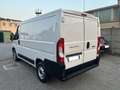 Fiat Ducato 28 2.3 MJT 120CV PC-TN Furgone *MOTORE NUOVO* Blanc - thumbnail 3