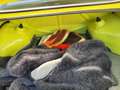 BMW 2002 1. Serie Jaune - thumbnail 30
