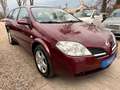 Nissan Primera Visia*1.HD*Klima*SHZ*Xenon*TÜV NEU Roşu - thumbnail 2