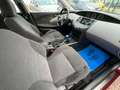 Nissan Primera Visia*1.HD*Klima*SHZ*Xenon*TÜV NEU Roşu - thumbnail 15
