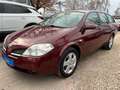 Nissan Primera Visia*1.HD*Klima*SHZ*Xenon*TÜV NEU Roşu - thumbnail 4
