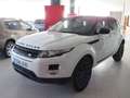 Land Rover Range Rover Evoque 2.0TD4 SE Dynamic 4WD 150 Blanc - thumbnail 4