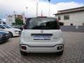 Fiat Panda 1.0 FireFly Hybrid City Cross #5Posti #CarPlay 7" Bianco - thumbnail 6