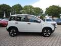 Fiat Panda 1.0 FireFly Hybrid City Cross #5Posti #CarPlay 7" Bianco - thumbnail 4