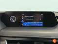 Lexus UX 250h 2.0 Business Blanco - thumbnail 14